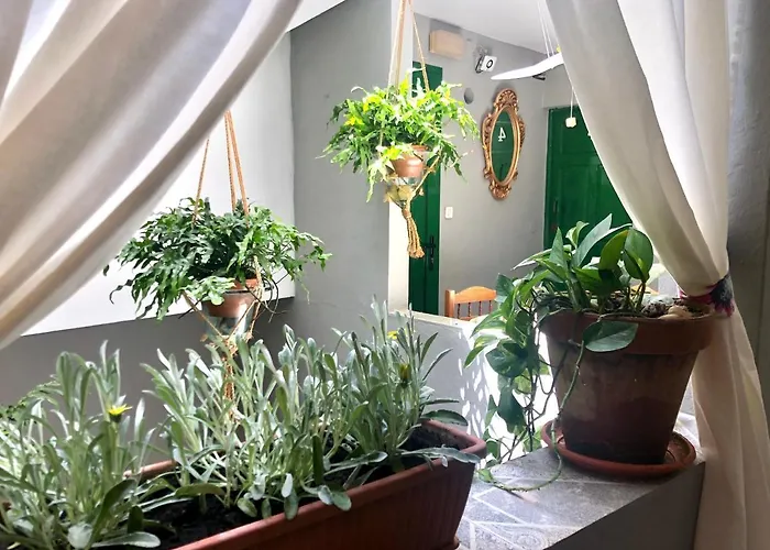 ゲストハウス Playa プエルト・デ・モガン