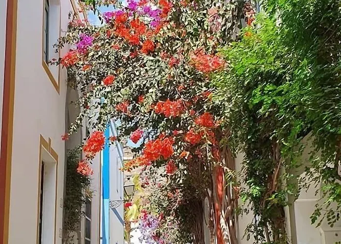 Playa ゲストハウス 2*